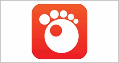 Publisher s Description