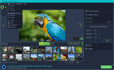 Ashampoo Photo Optimizer - Screenshot 04