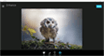 Aviary Photo Editor - Screenshot 02