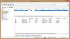 qBittorrent - Screenshot 01